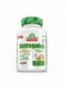 Astragalus - 90 tabls.